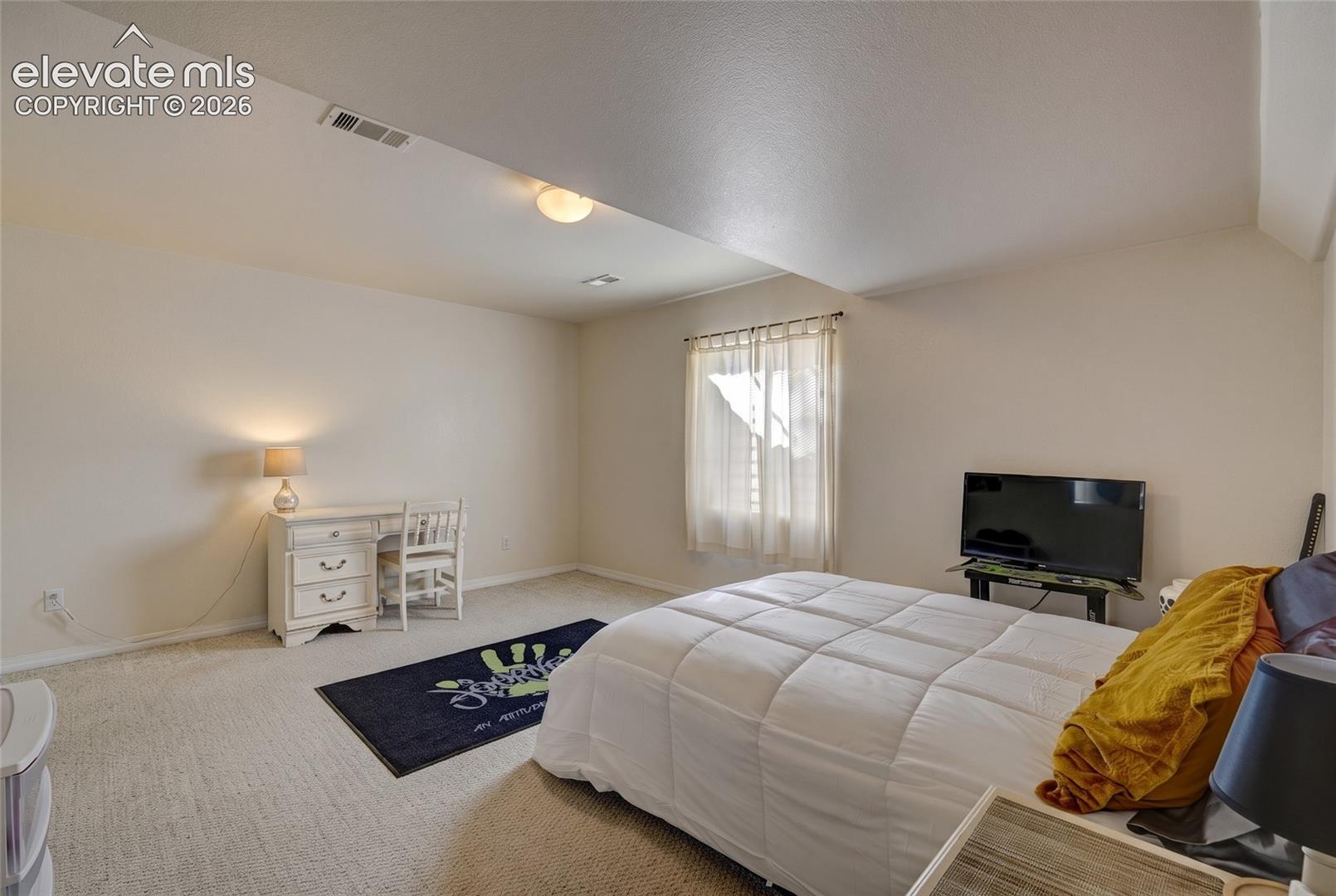 Neutral-toned wall paint, neutral carpeting, and a window featuring natural light