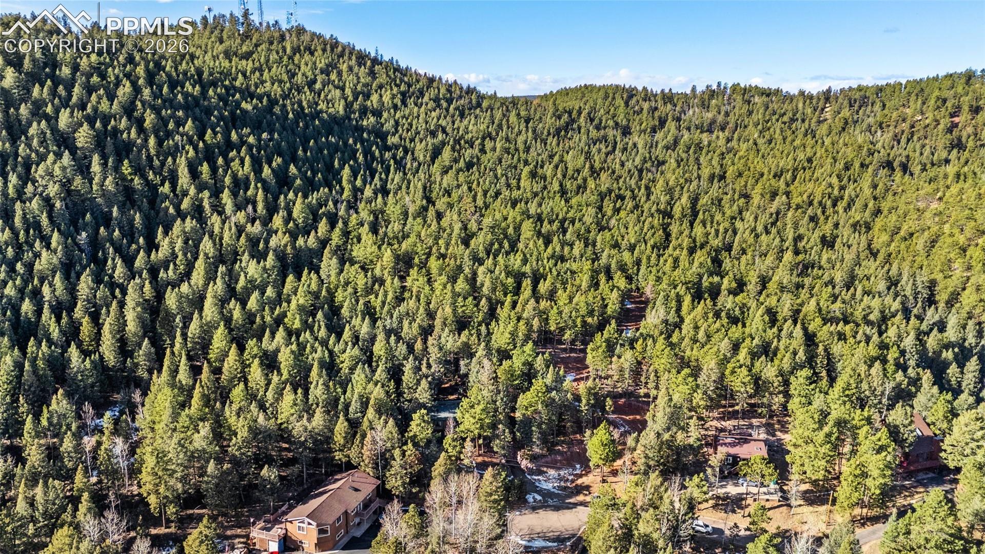 464 Evergreen Ct, Woodland Park, CO 80863