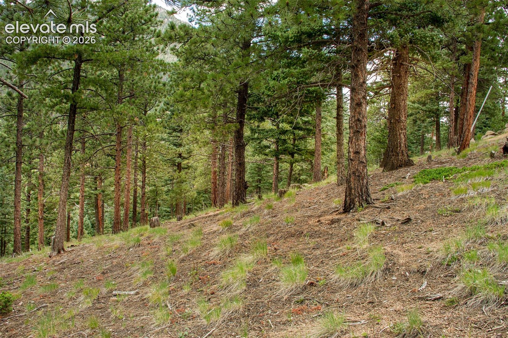 Photo 18 of 266 Aspen Ridge Road, Manitou Springs