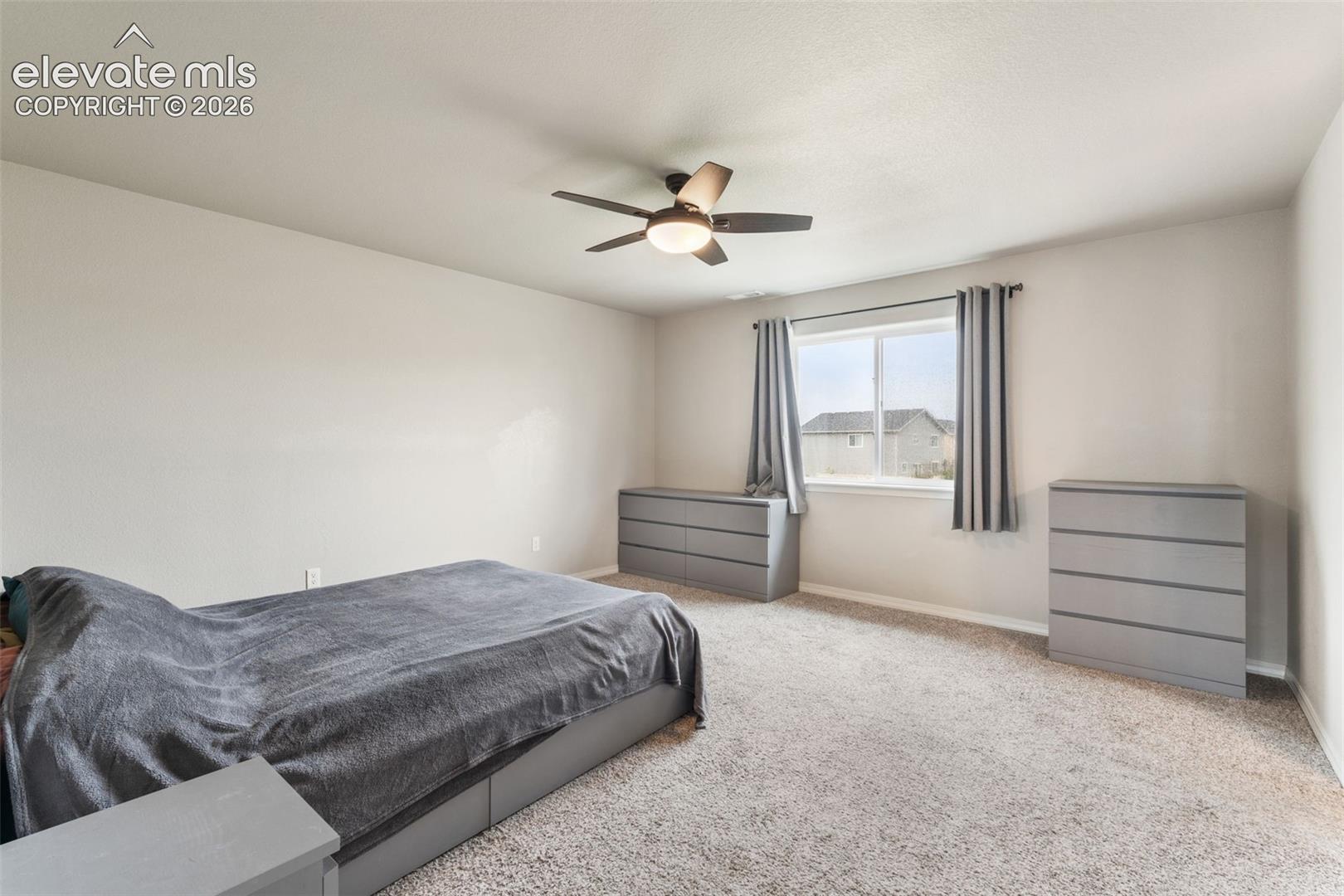 Plush carpeting, a ceiling fan with integrated lighting, and a window with blinds