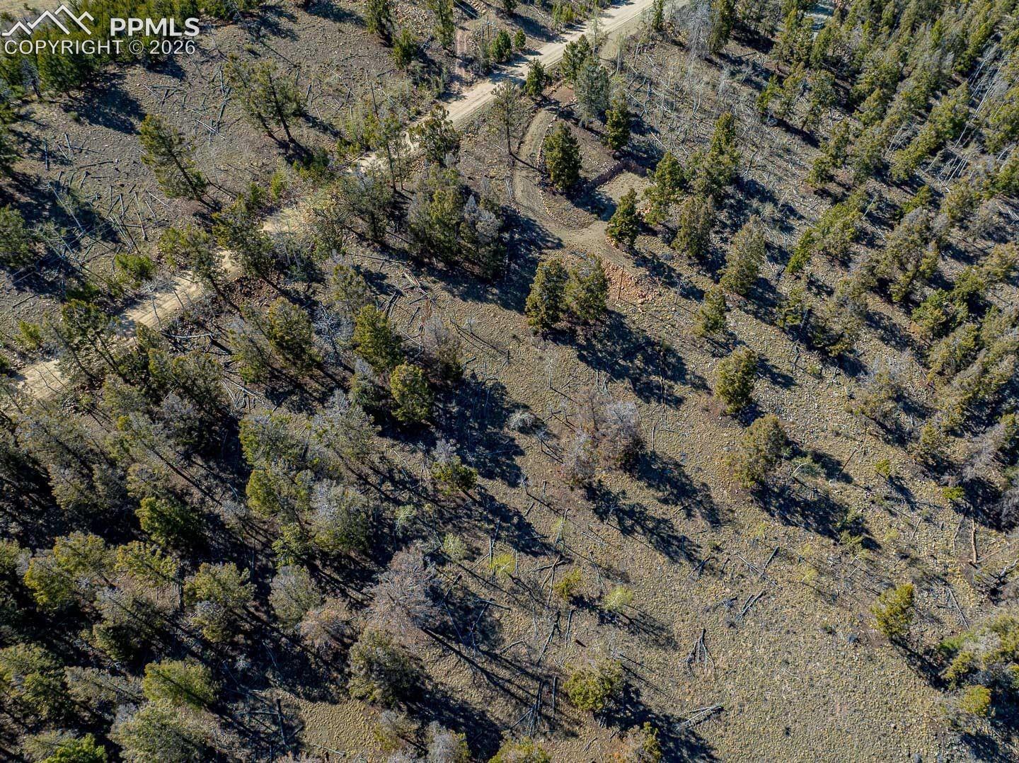 Photo 9 of 5302 Middle Fork Vista, Fairplay