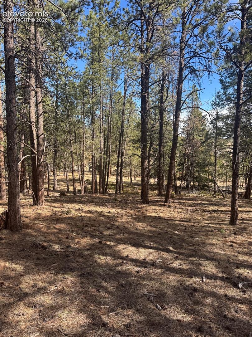 642 Matterhorn Dr, Florissant, CO 80816