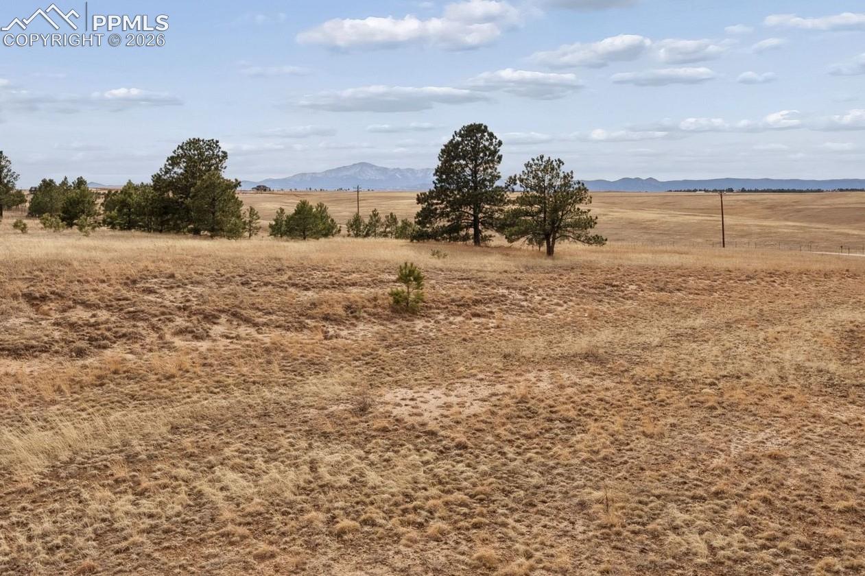 Photo 43 of 6905 Alpaca Heights, Colorado Springs