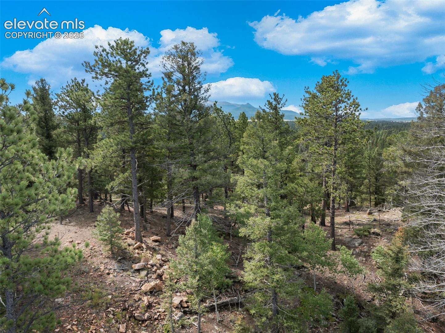 Photo 23 of 422 Spring Valley Drive, Divide