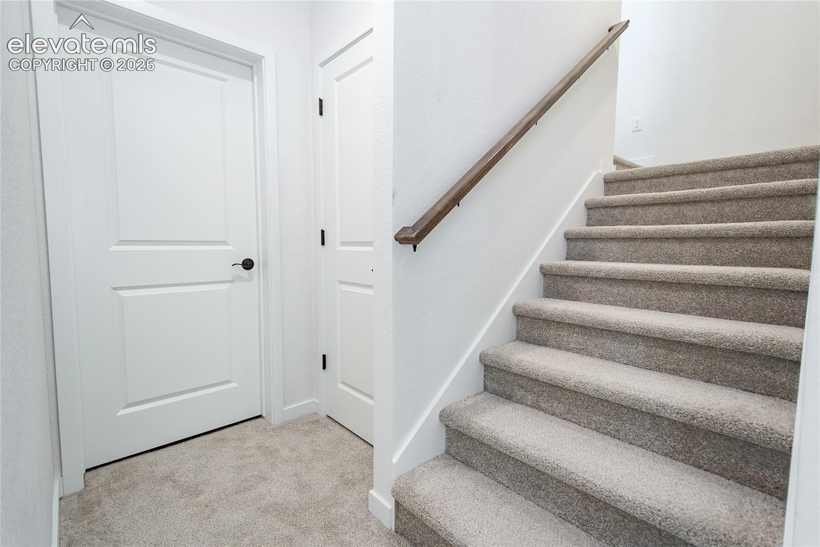 Staircase featuring wall-to-wall carpeting, a wood-finish handrail, and two-panel interior doors with matte black hardware