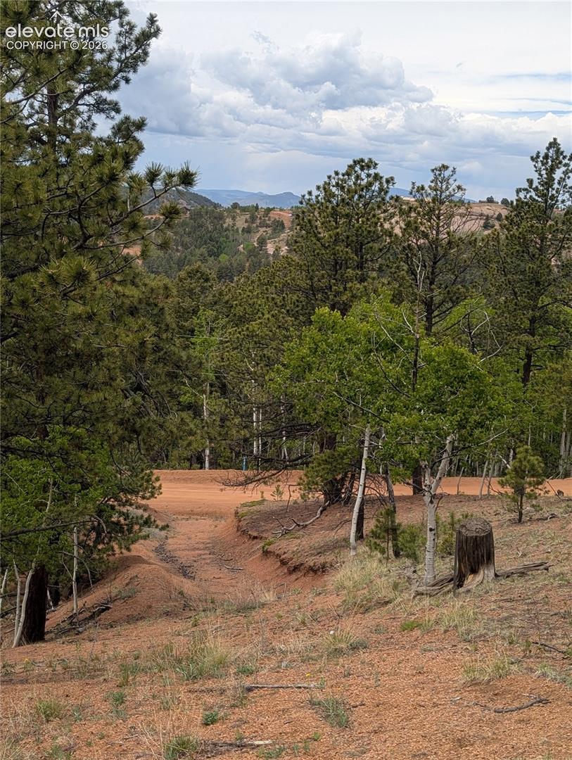 Photo 11 of 16 Princess Lane, Cripple Creek
