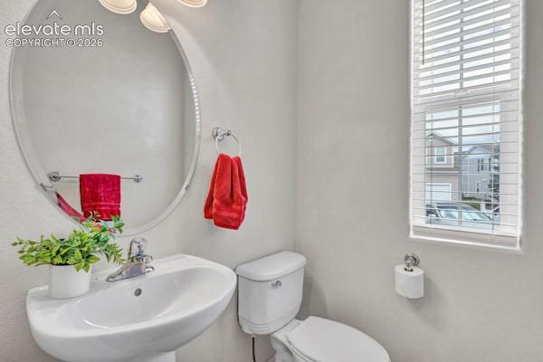 Adorable Powder Room on Main for Your Guests!