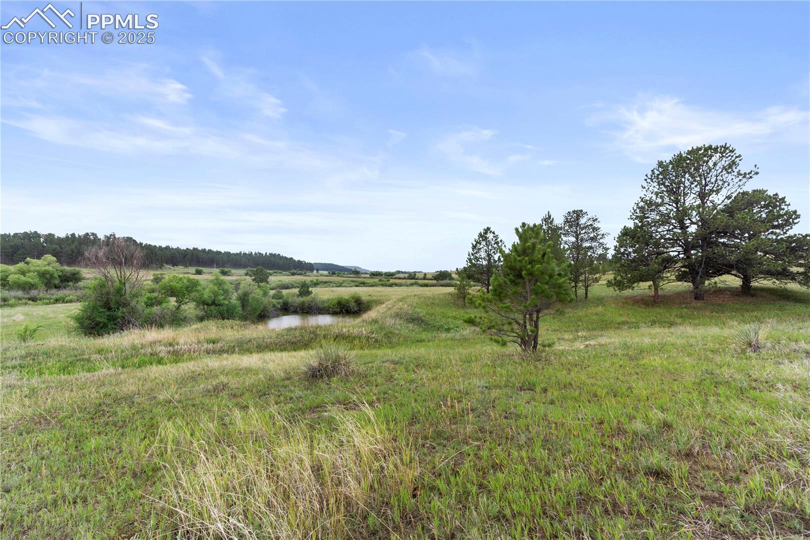 Photo 9 of 0 E Cherry Creek Road, Larkspur