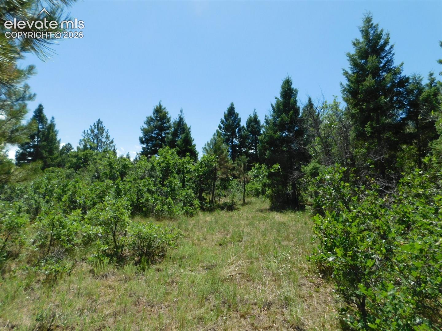 Photo 37 of 6447 Thunderbird Road, Larkspur