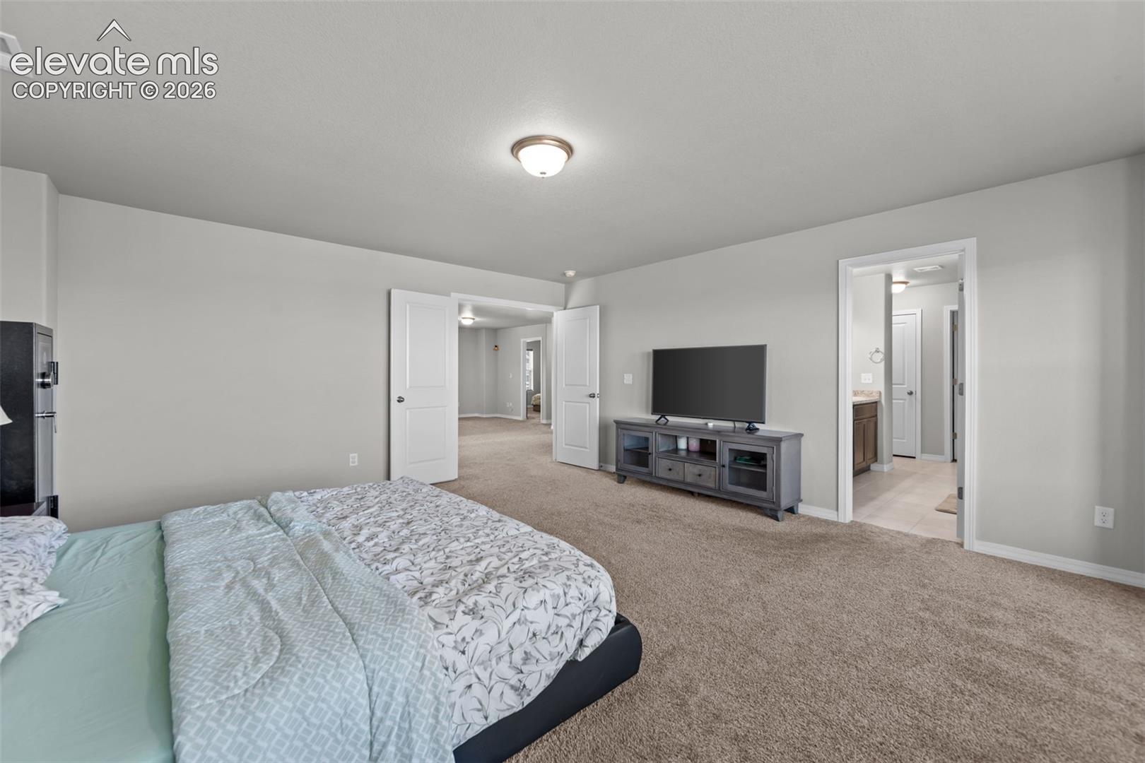 Plush carpeted flooring with light gray wall finishes and white trim
