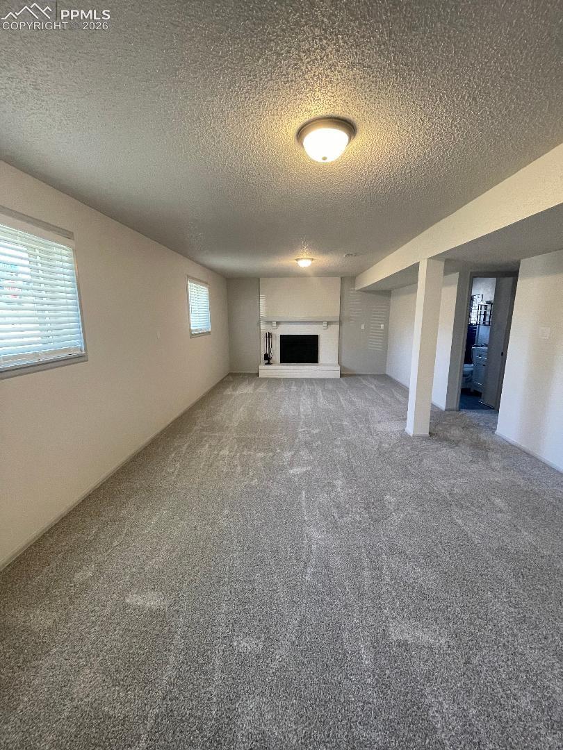 Lower Level Family Room  / Wood Burning Fireplace