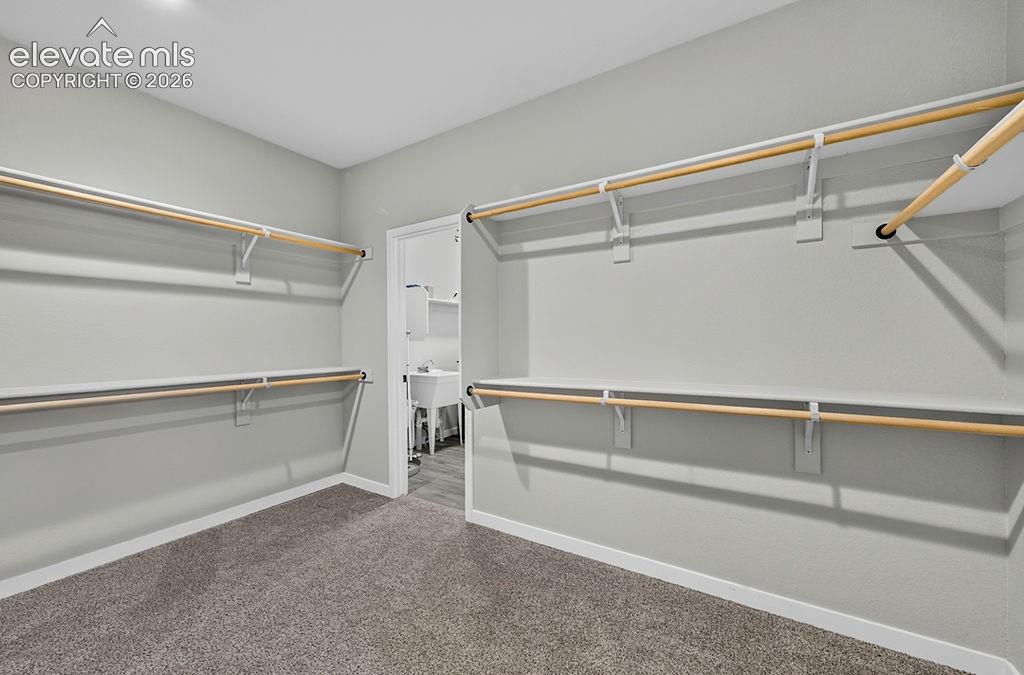 Walk-in closet featuring carpet flooring, built-in shelving, and hanging rods