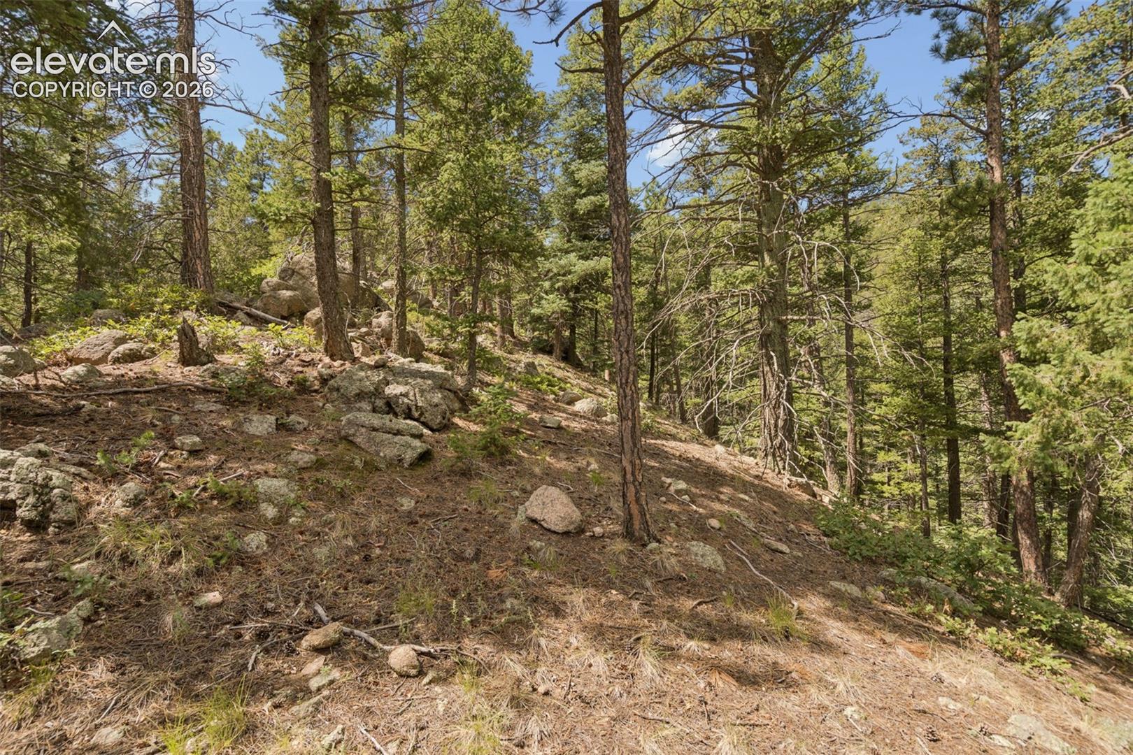 Photo 46 of 5110 Little Turkey Creek Road, Colorado Springs