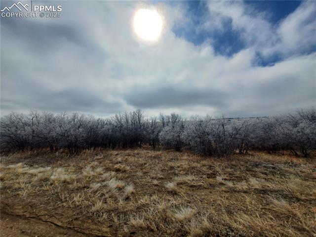 0 Thacker Rd, Colorado City, CO 81069