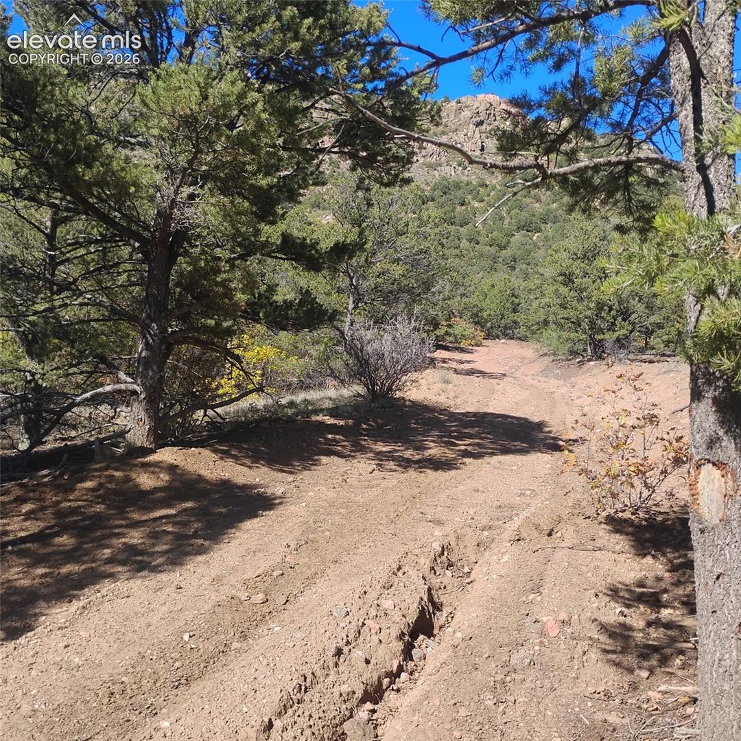 Expansive natural lot featuring mature pine trees, native vegetation, and rugged mountain terrain