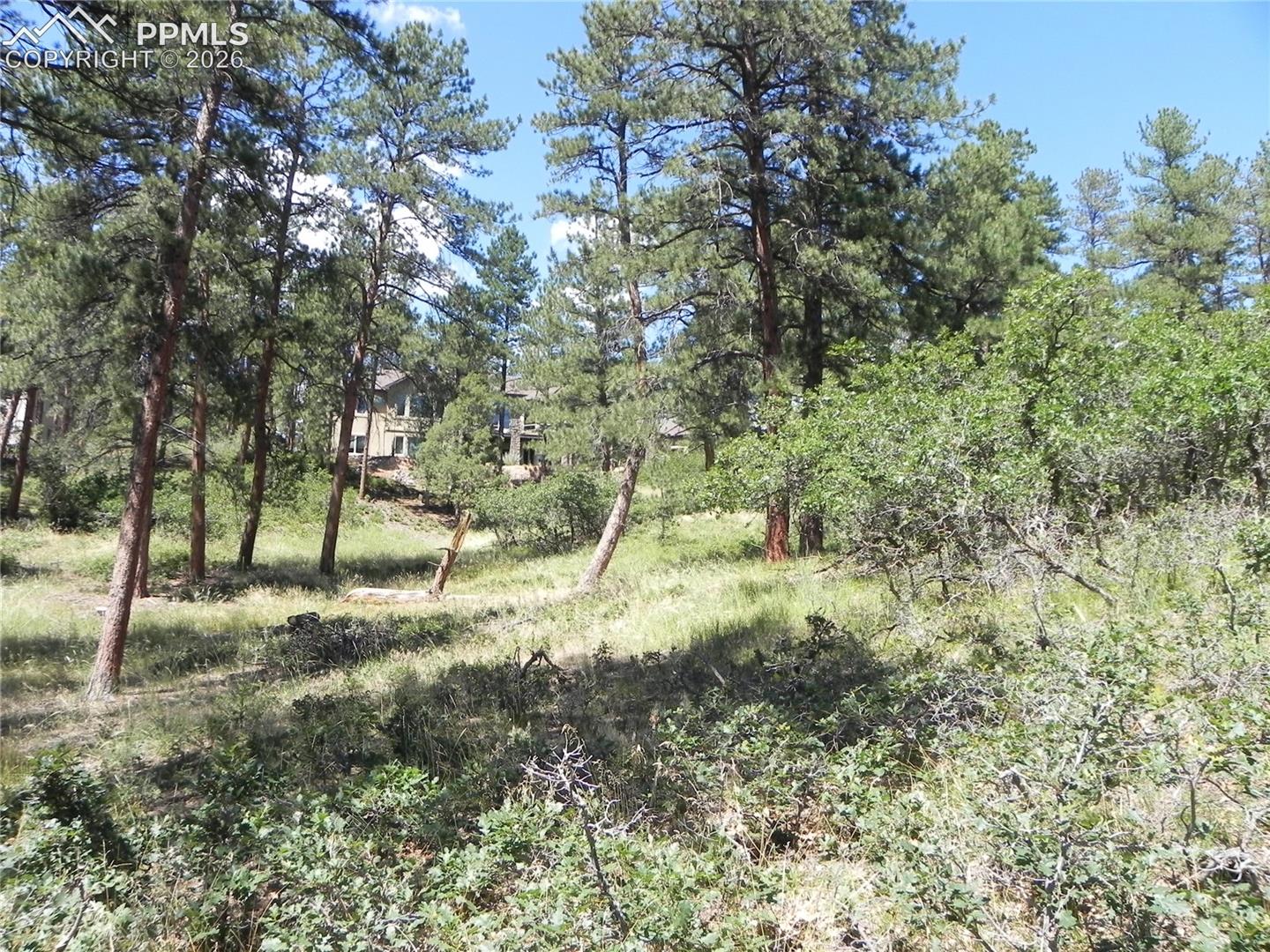 Photo 25 of 4144 Cheyenne Drive, Larkspur