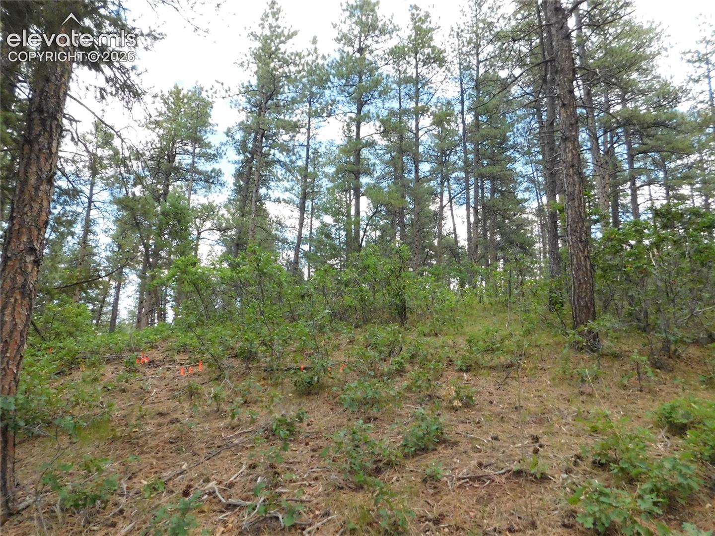 Photo 32 of 8139 Bannock Drive, Larkspur