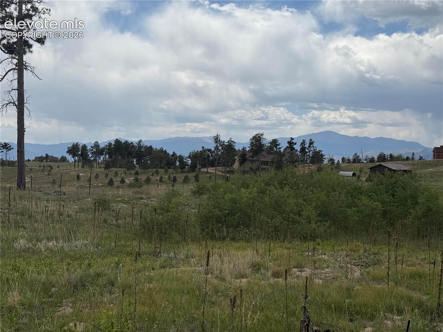 Photo 8 of 13810 Wildoak Drive, Black Forest