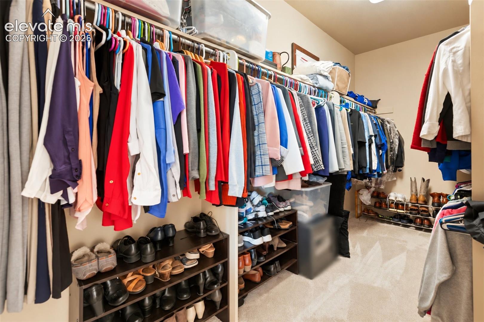 Walk-in closet featuring multi-tiered wire shelving and wall-to-wall carpeting