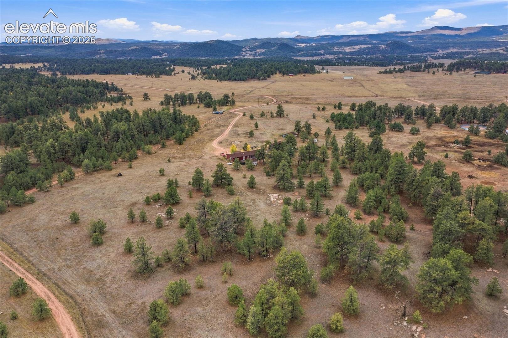 Expansive acreage featuring mature pine trees, natural terrain, a winding dirt access road, and a mountainous backdrop