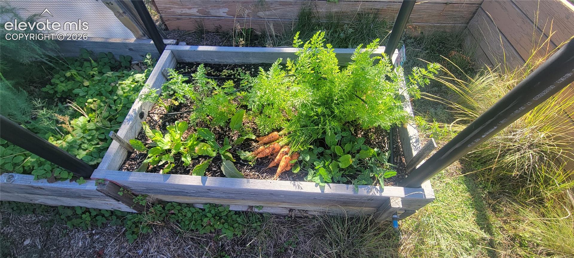 Raised garden bed constructed from wood