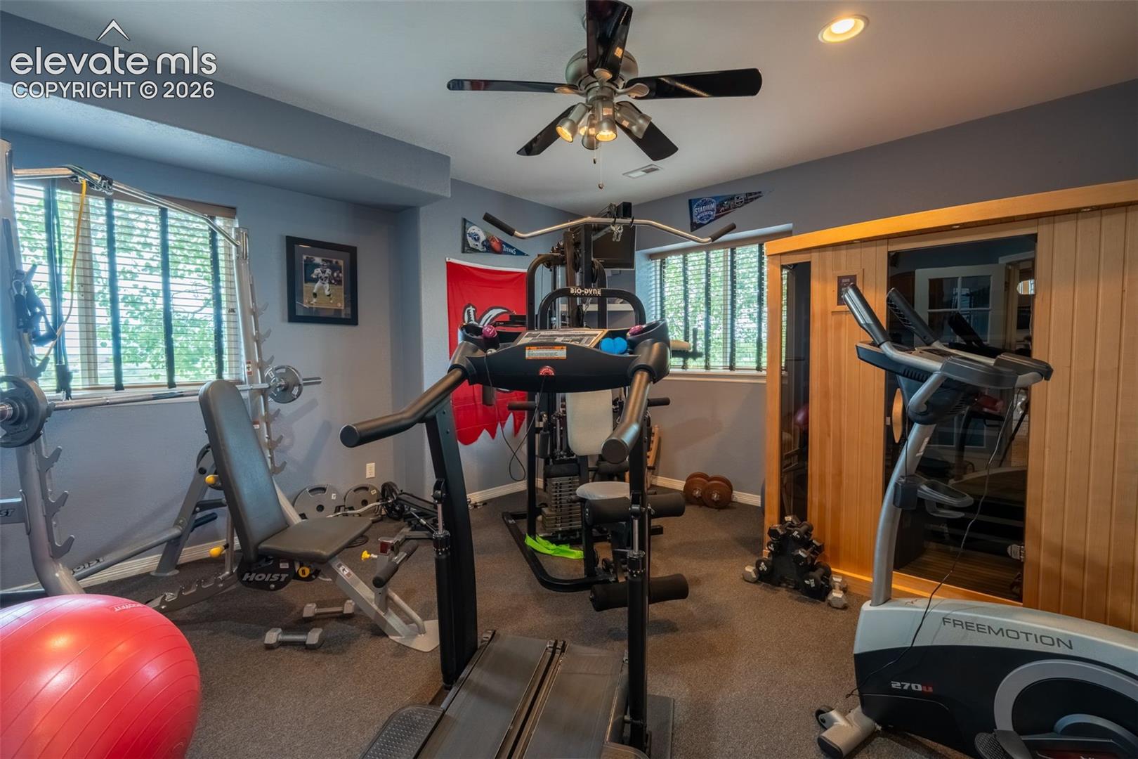 BASEMENT BEDROOM