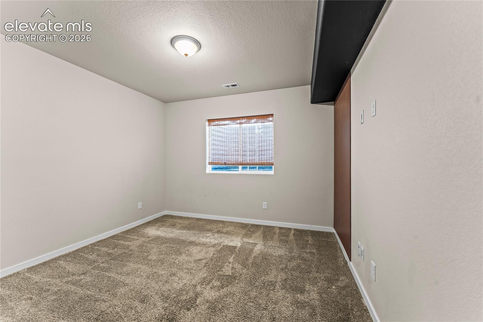 Neutral-toned carpeted flooring, single-pane window with wood-finish blinds, flush-mount ceiling lighting, and dark-finished architectural accent paneling