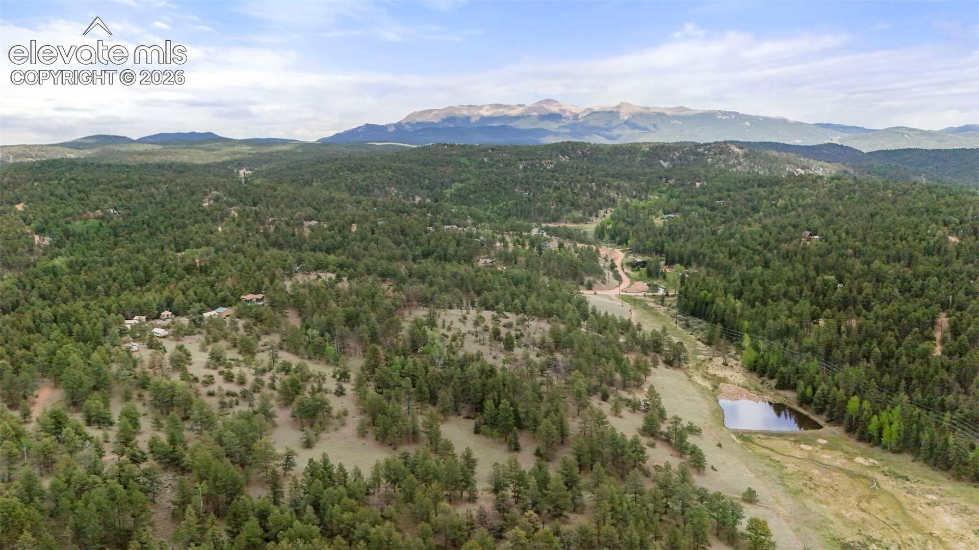 247 Pinewood Rd, Florissant, CO 80816