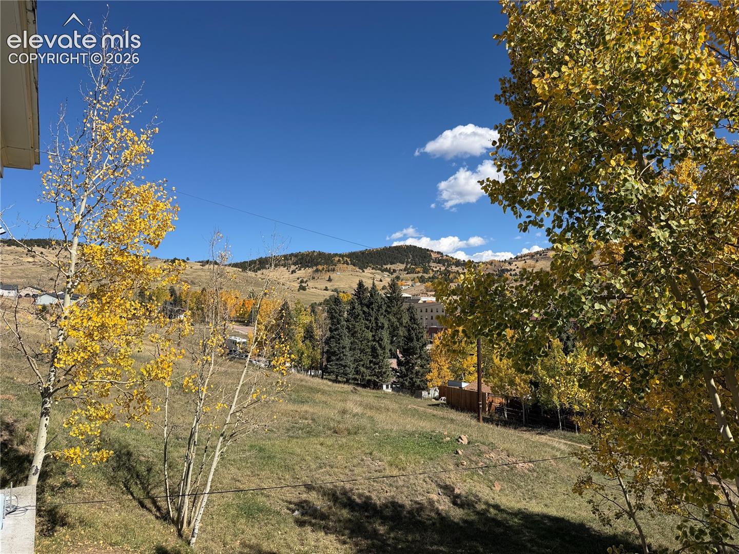 Expansive hillside property with mature deciduous and evergreen trees