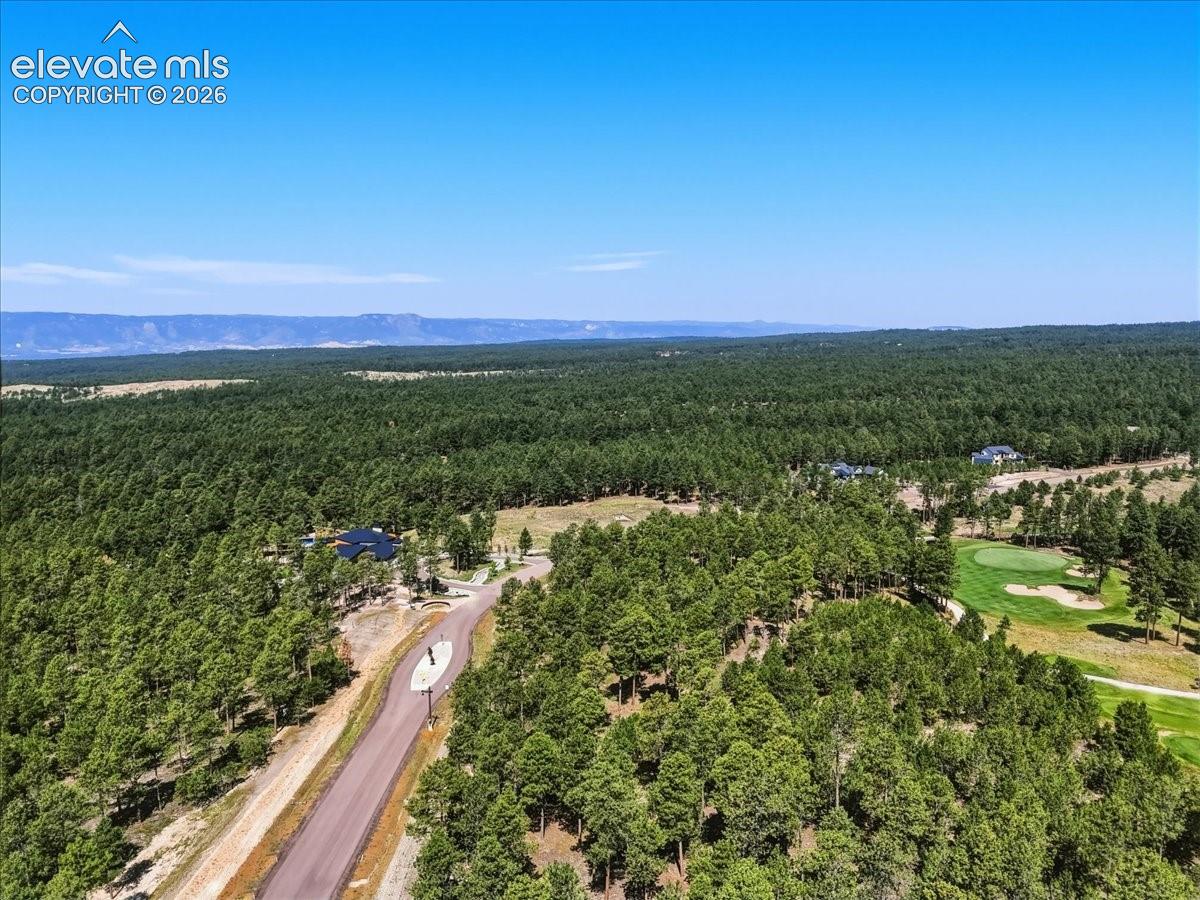 Photo 7 of 14931 Quartz Creek Drive, Colorado Springs