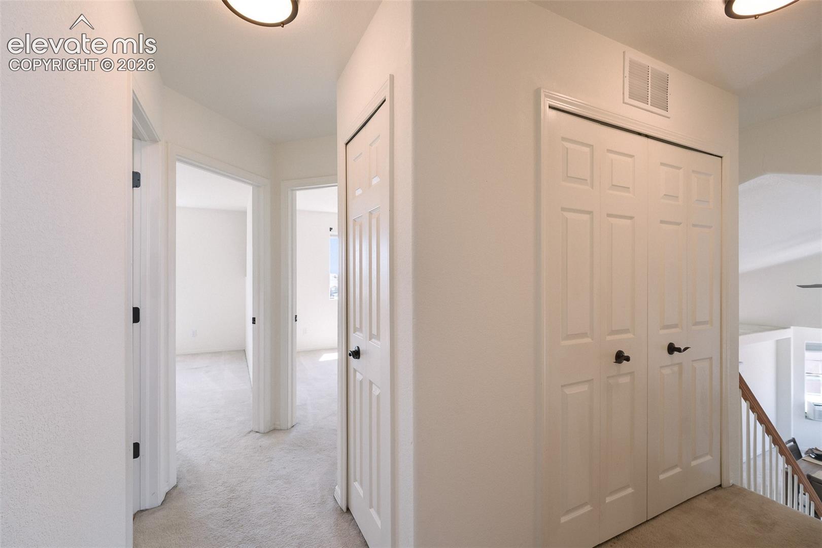Hallway featuring light-colored carpet flooring, white paneled doors with black hardware, and overhead lighting