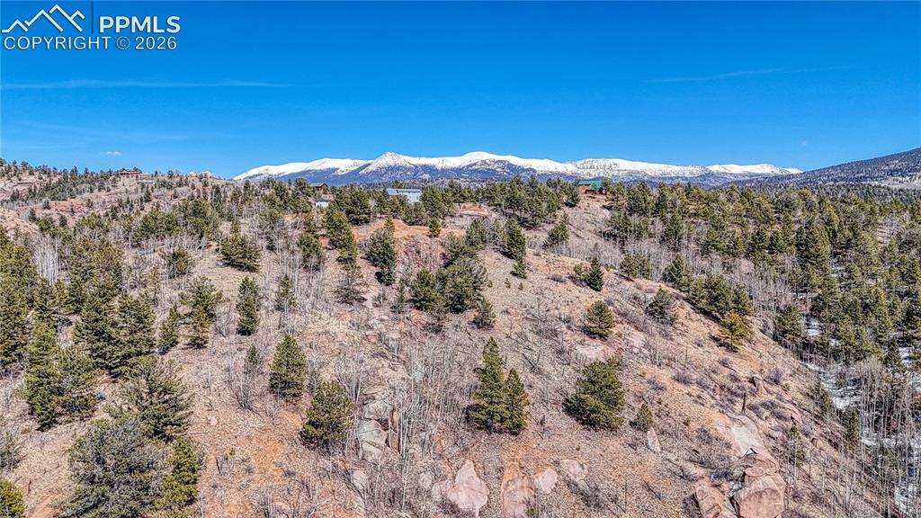 Photo 8 of 513 Last Dollar Drive, Cripple Creek