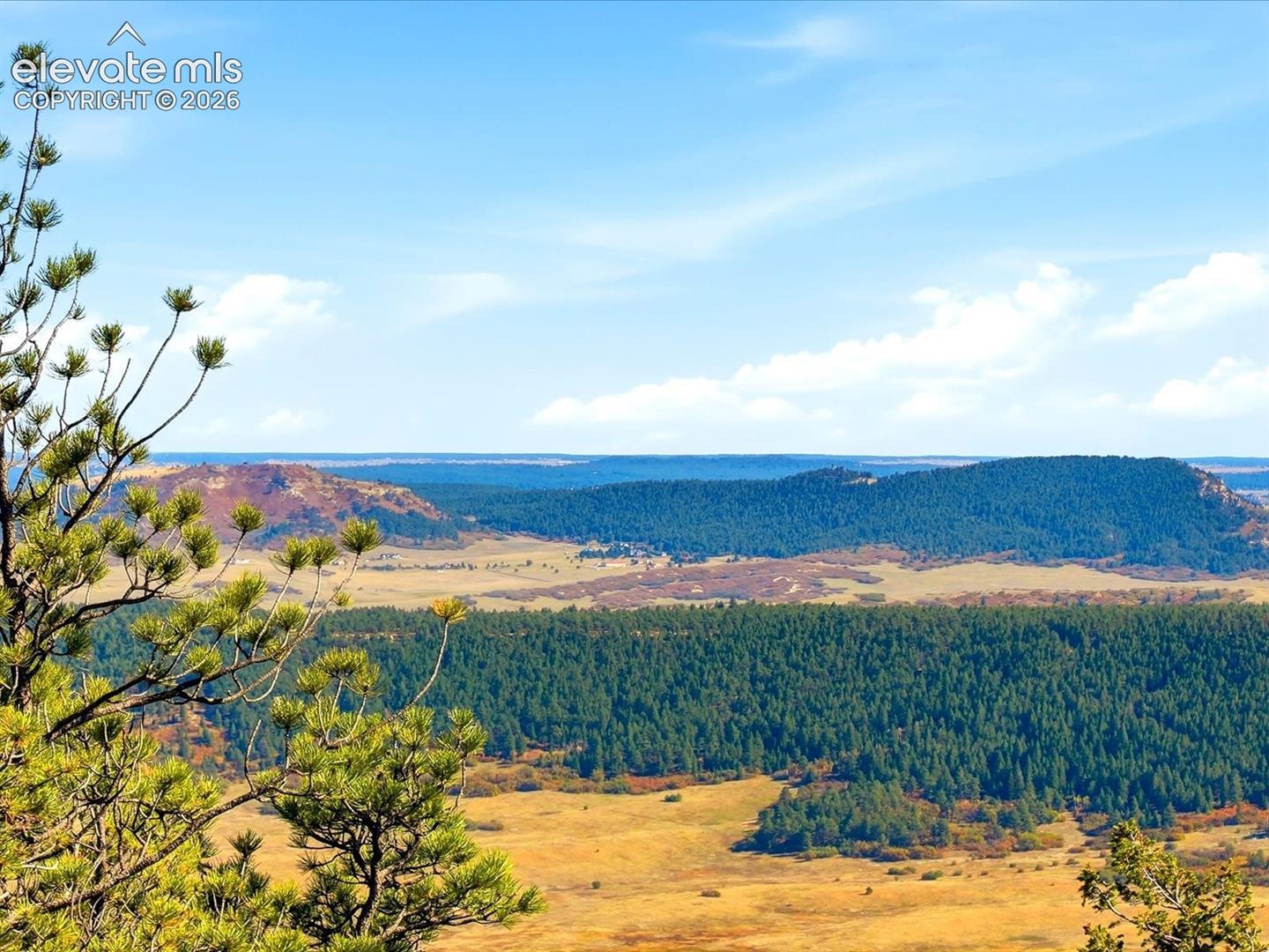 Expansive topography featuring rolling hills, evergreen forests, and prominent ridgelines