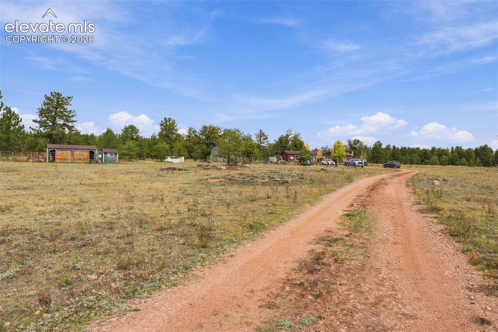 Expansive acreage featuring a dirt driveway, perimeter fencing, mature evergreen trees, and auxiliary outbuildings