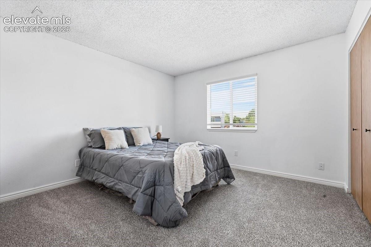 Wall-to-wall carpeting, single window with blinds, and built-in closet with wood-finish doors