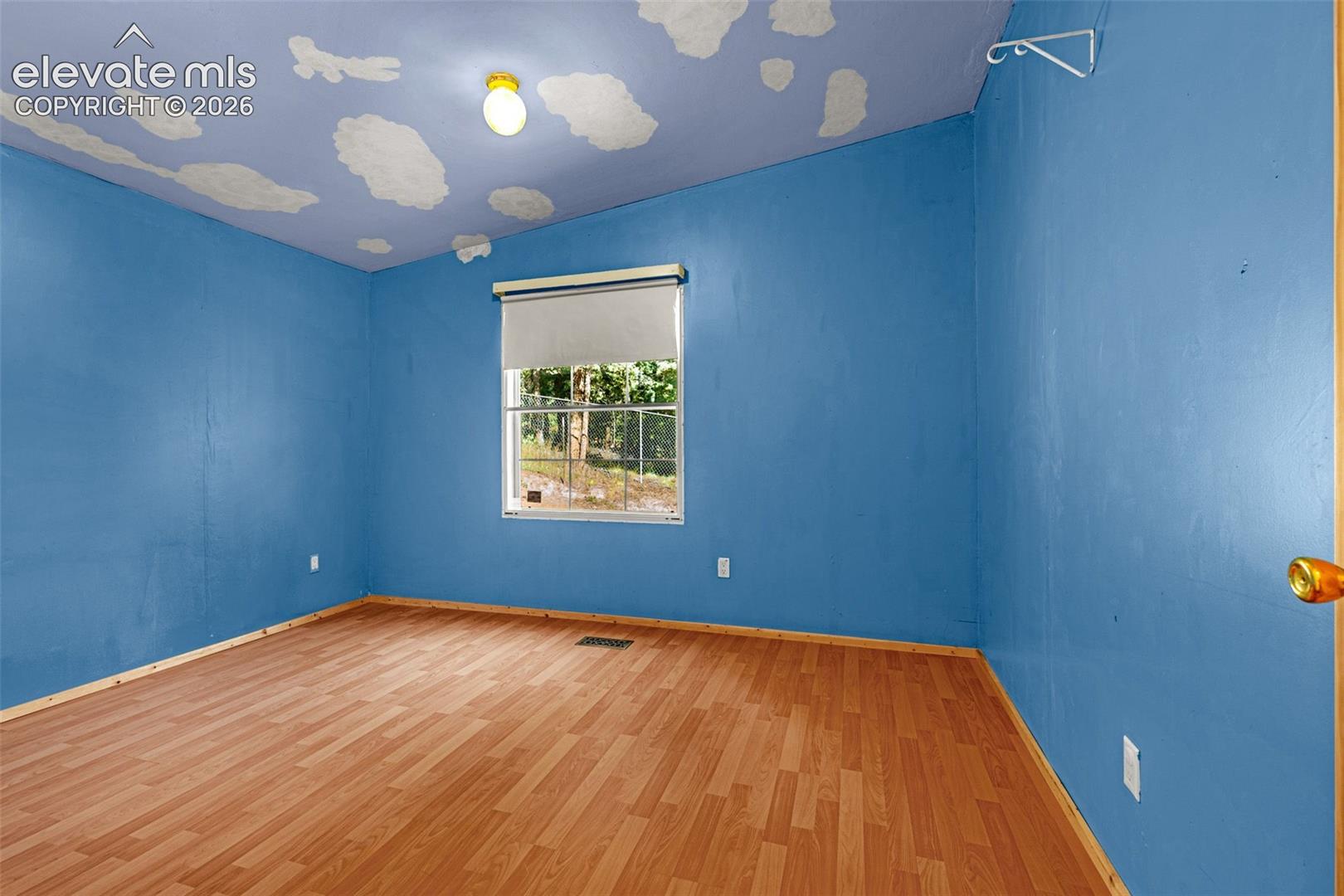Wood-finish flooring with blue walls and a painted ceiling design