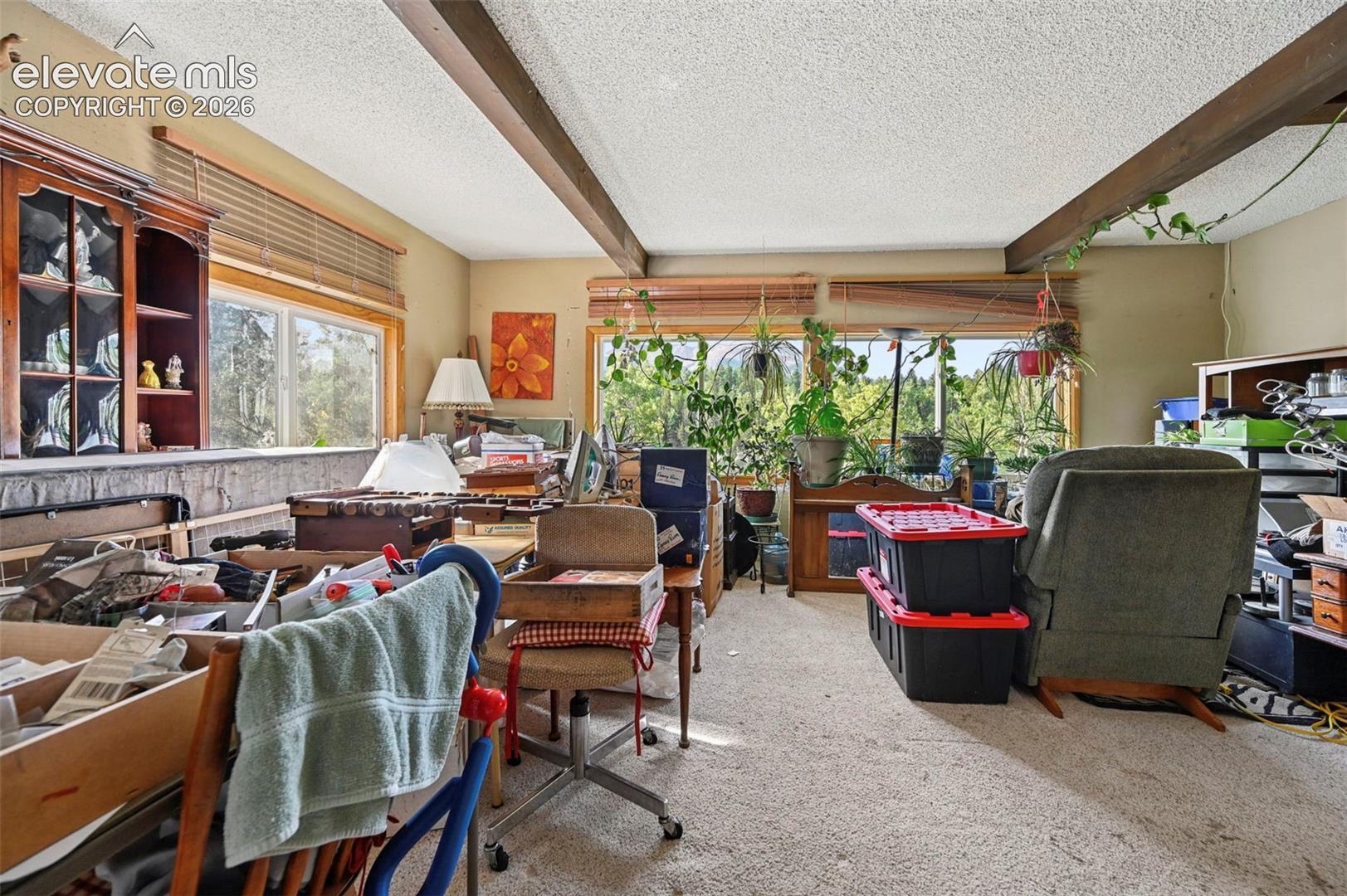 Photo 9 of 2659 Edlowe Road, Woodland Park