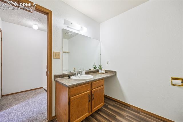 Bathroom featuring vanity and dark wood-type flooring