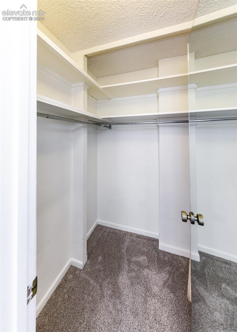 Walk-in closet featuring floor-to-ceiling tiered white shelving, metal hanging rods, and carpeted flooring