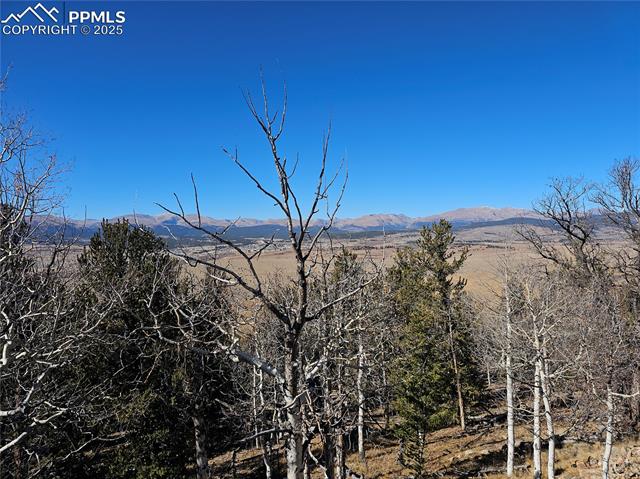 5585 Middle Fork Vi, Fairplay, CO 80440