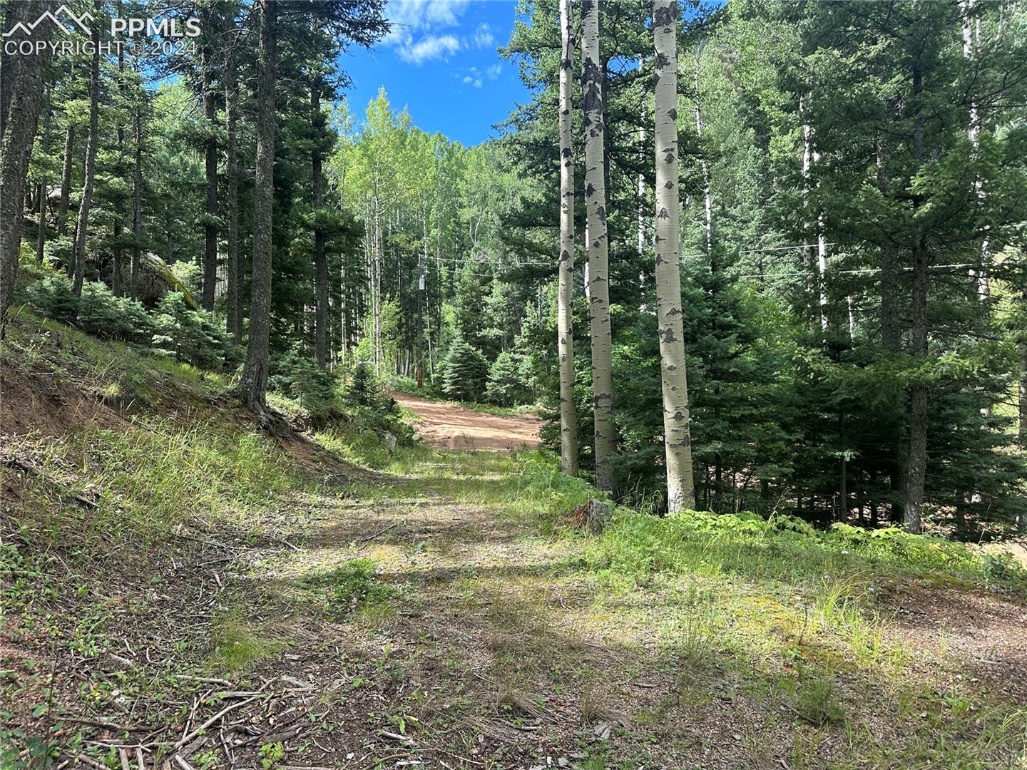 View of the driveway from road