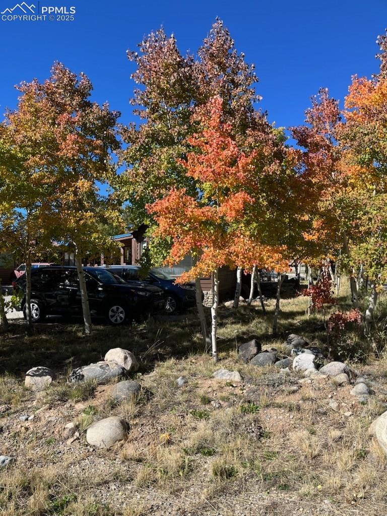 Autumn Colors