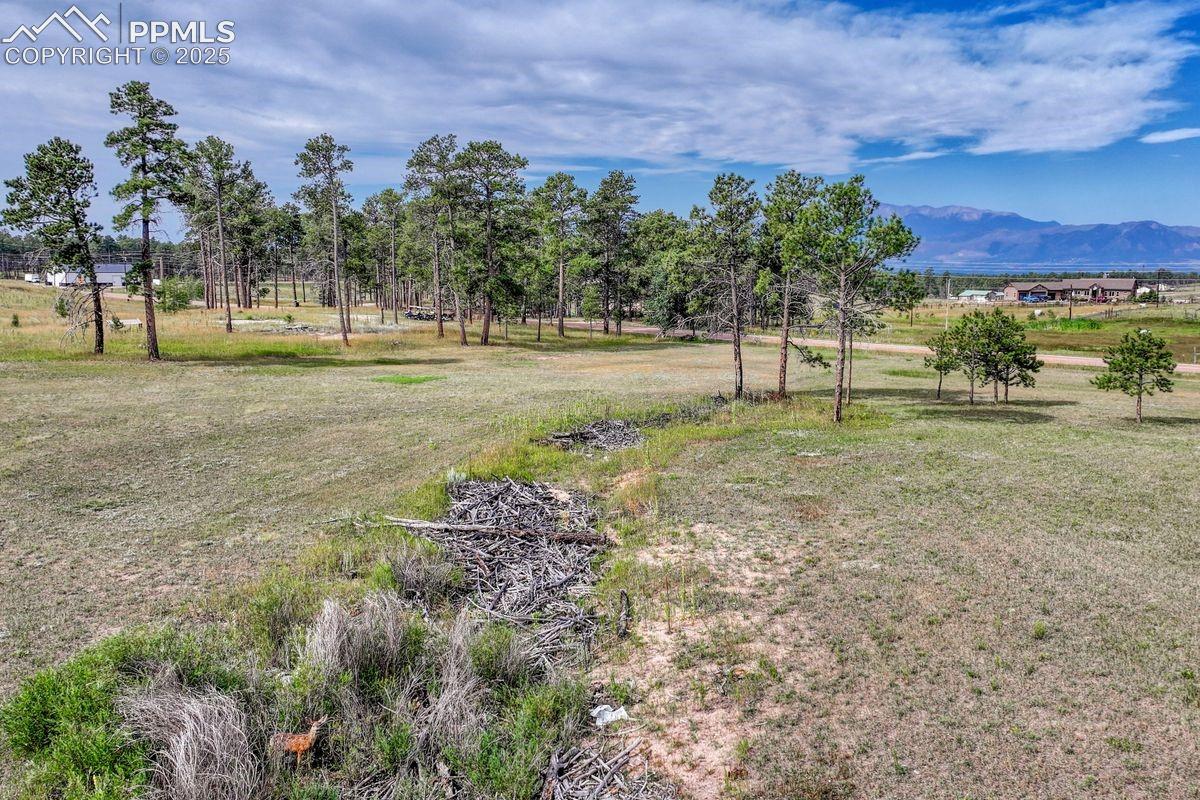 Photo 16 of LOT 4 Forest Heights Circle, Colorado Springs