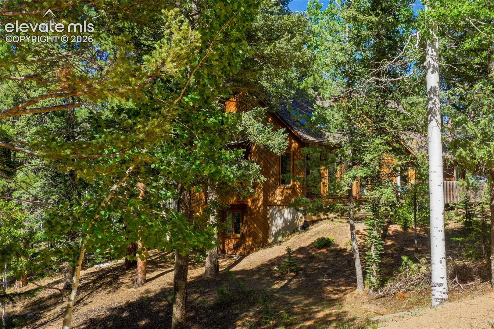 886 Cottonwood Lake Dr, Divide, CO 80814
