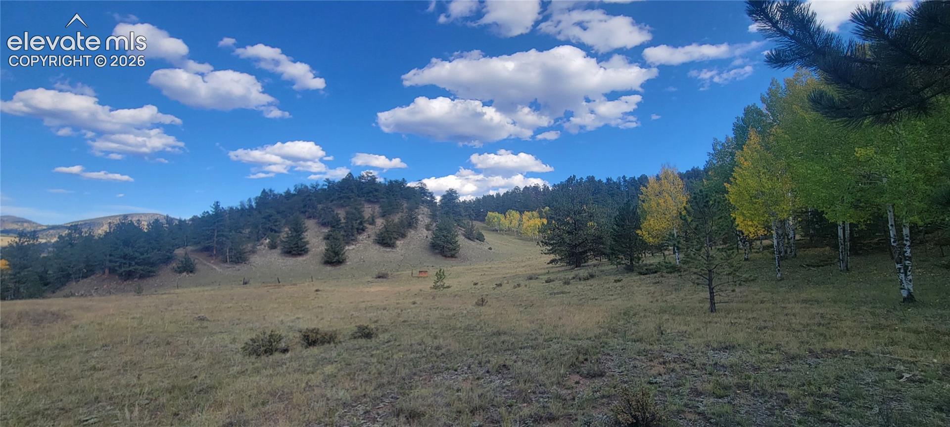 Expansive, undulating terrain with varied tree coverage including mature evergreens and deciduous trees