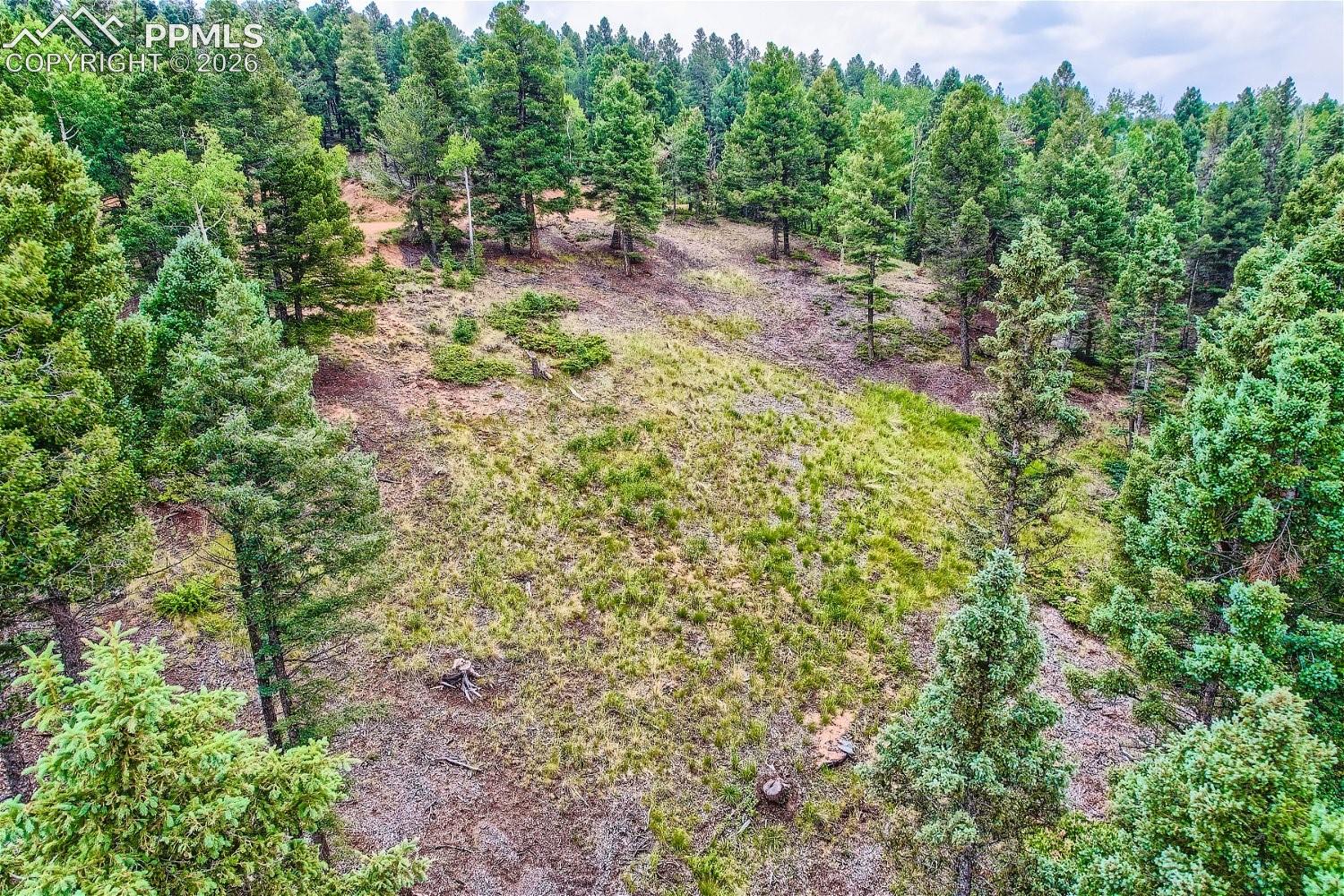 Photo 9 of 4600 Elk Valley Road, Divide
