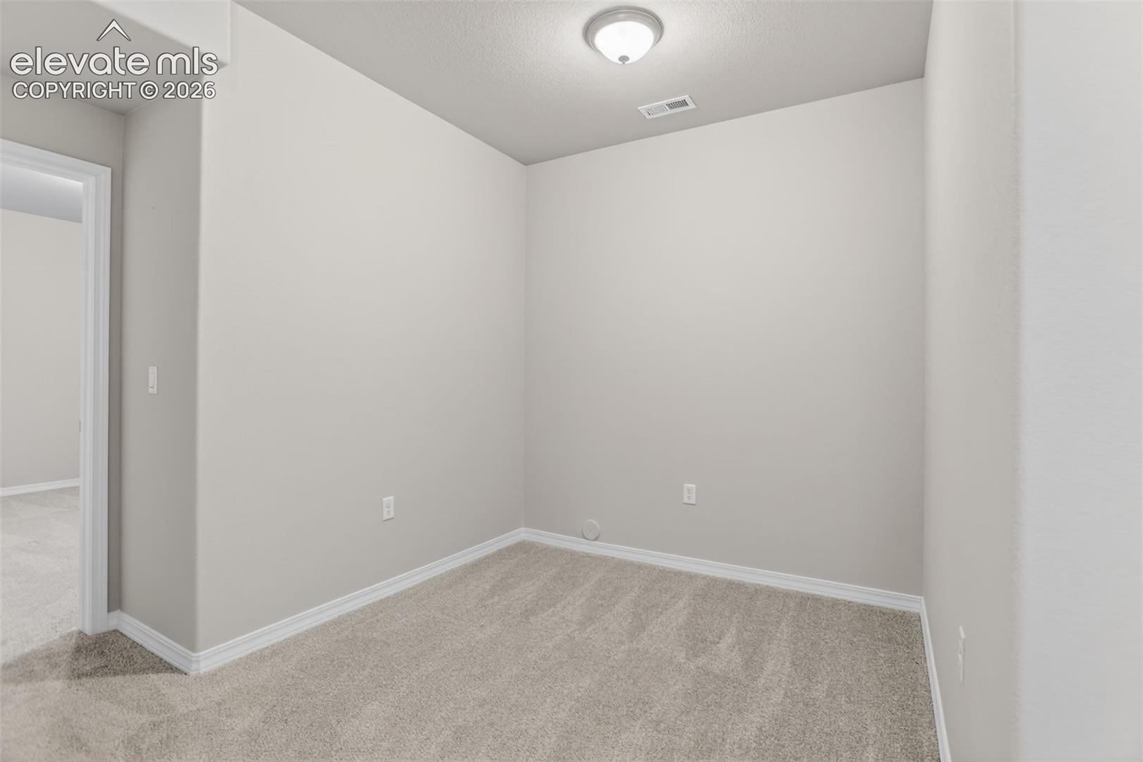 Room featuring neutral-toned walls, light-colored carpet, white baseboards, and a flush-mount ceiling light