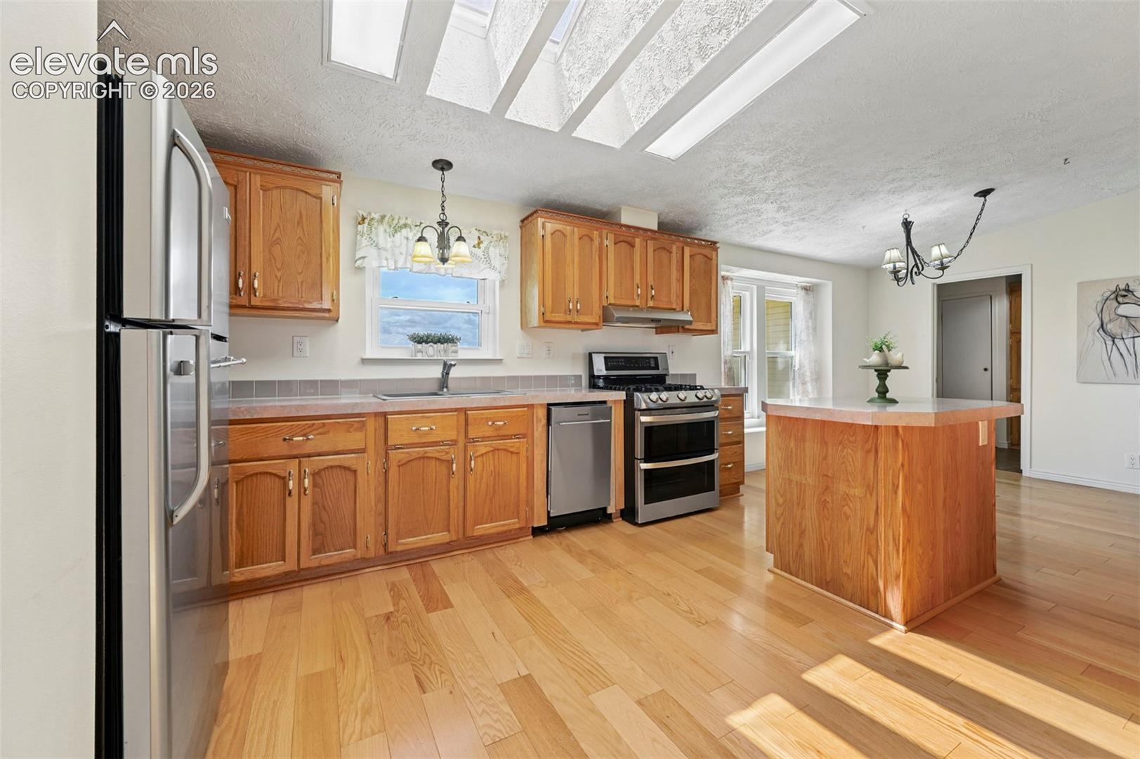 Kitchen featuring wood-finish flooring, skylights, wood cabinetry, stainless steel appliances, and a central island