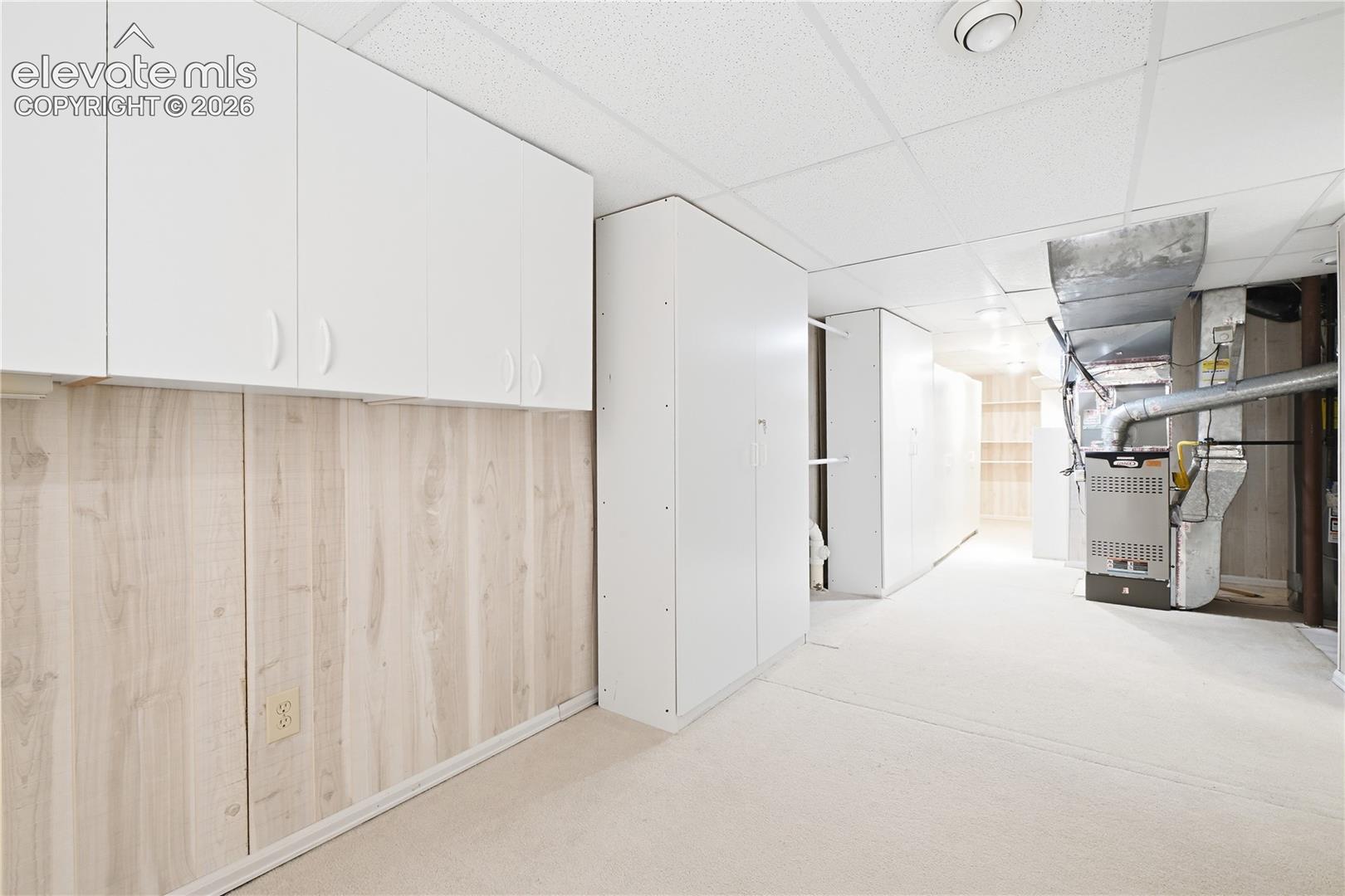 Utility area featuring wood-finish paneling, white built-in cabinetry, and neutral carpeting