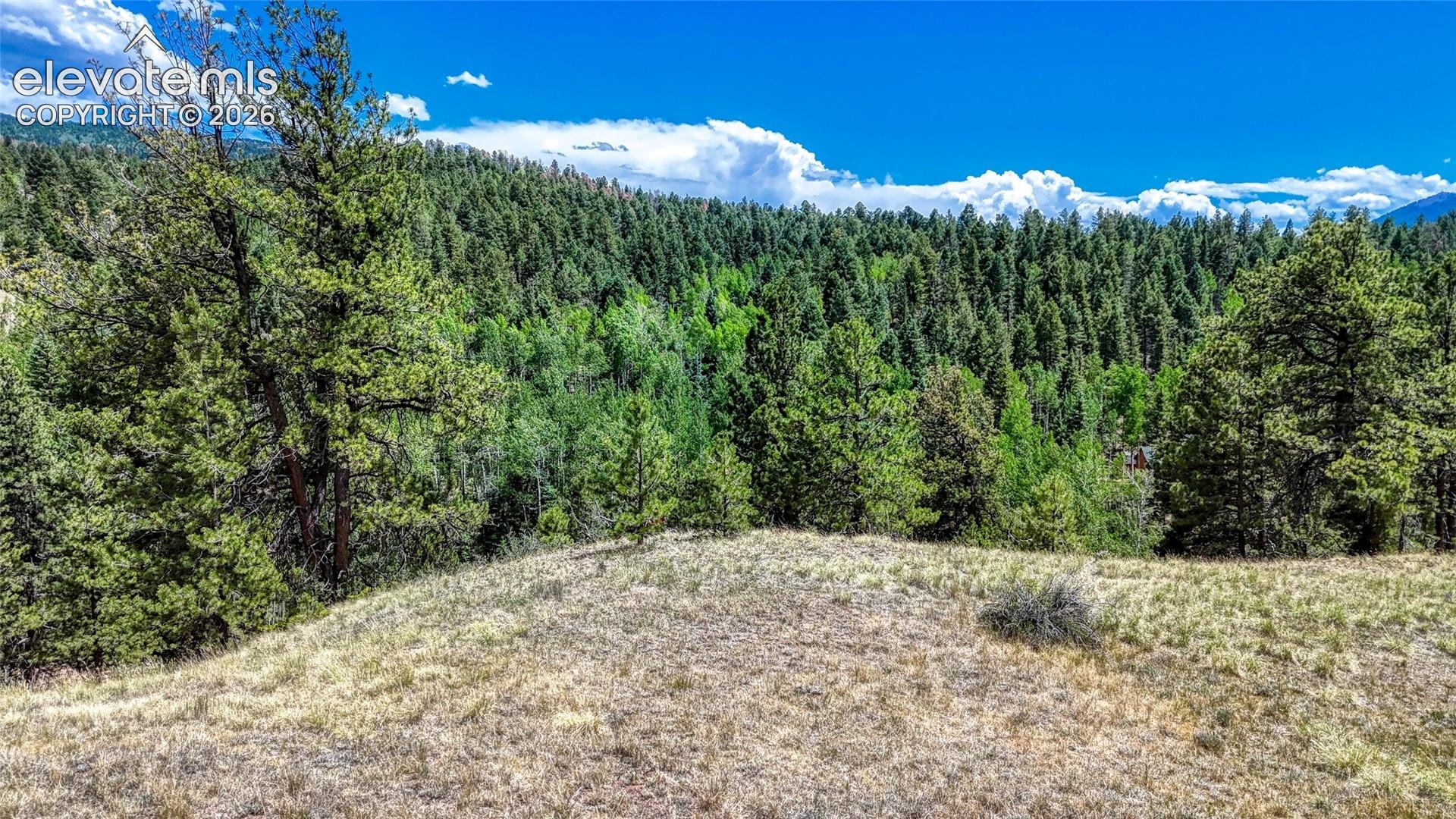Photo 16 of 218 Princess Road, Cripple Creek